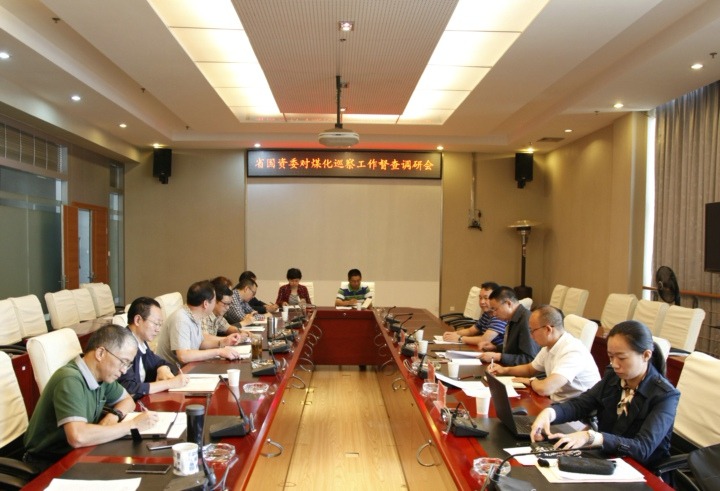 ʡ����ί�Լ��ŵ�ίѲ�����鿪չ������ж������