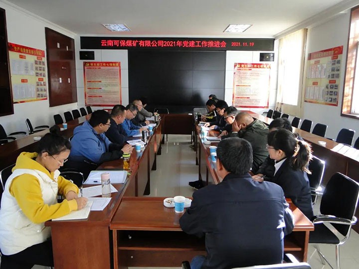 �ɱ�ú�����޹�˾��ί�ٿ�2021�굳�������ƽ���