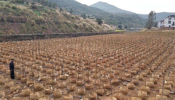 �����������ܡ��ƽ�����ֳ��Ŀ��̽��ת������֮·����һƽ��ú��˾��������ʵ�ֹ�ҵת�������ա���Ӯ��