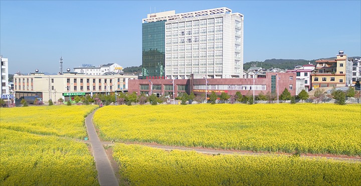 �����������ܡ�����úҵ��˾��ί���������̬����˼�롡�����ɫ��ɽ�������¶���