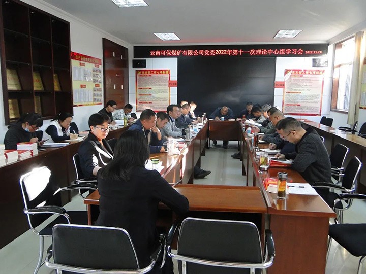 ����Ѷ���ɱ�ú��˾��ίר��ѧϰ���Ķ�ʮ������⻯�����ֹ�˾�������������Ķ�ʮ����