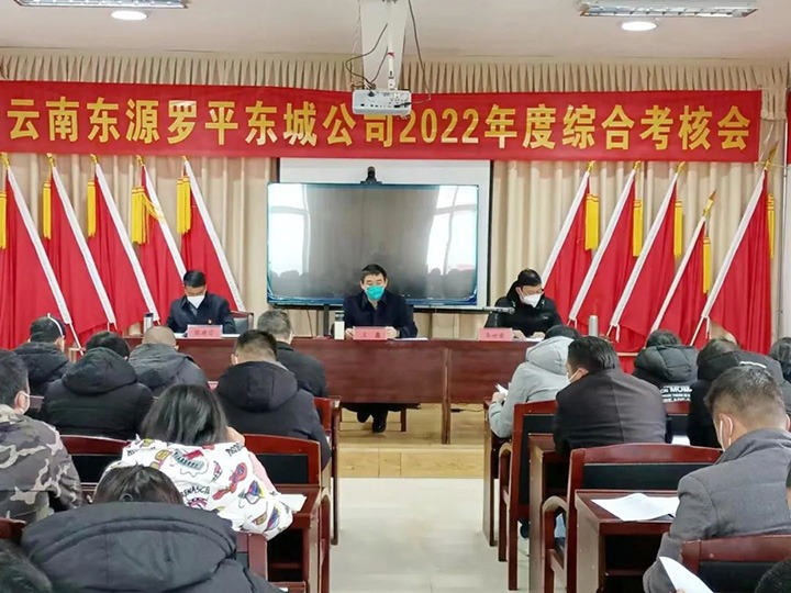 ��ú�������ϸ���ֲ������ŵ��������鵽��ƽ���ǹ�˾��չ2022����ۺϿ�������������