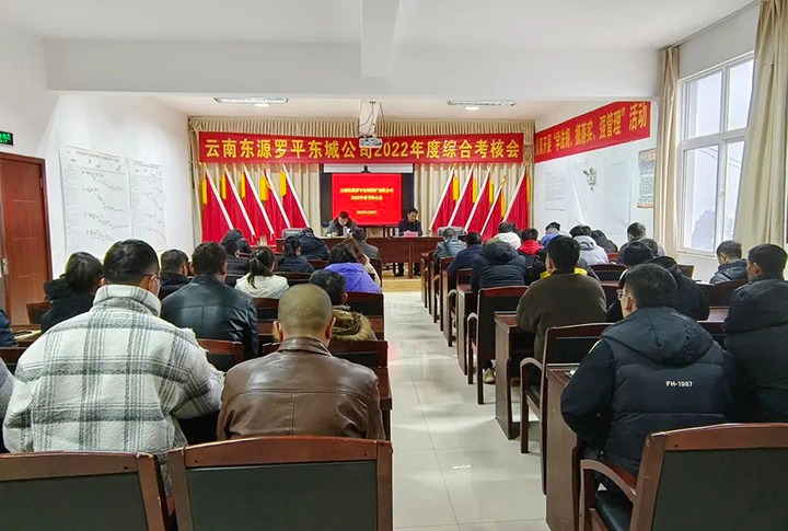 ����Ѷ����ƽ����ú��˾�ٿ�2023�괺�����Ļ�