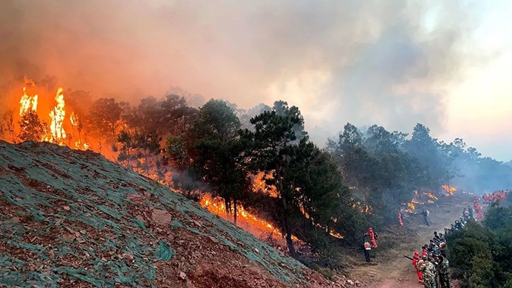 ����ú��Ѷ����ú������˾��������ɭ�ֻ����˾ȣ�����ú̿��˾����ɽú��һ�����׻���Ӳ�����轨������Բ�����