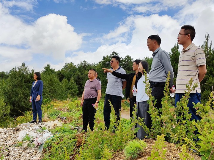 �������������ú�������ϸ���ֲ�������רְ�ⲿ���´��ӷ������ŵ�ίίԱ�������ܼ�Ī����������ú�󡢺��ҳ�ú�������ú��չ�����������