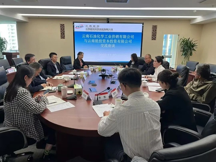 ����ú��Ѷ������ʯ�ͻ�ѧ��ҵ������˾������ú̿���쾮ú�����ҹ�˾��̬��������������