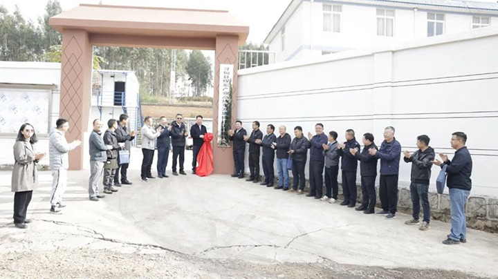 ����ú��Ѷ���ȷ�úҵ�����Ͻ⻯���ȷ滯�����ҹ�˾��̬��������������