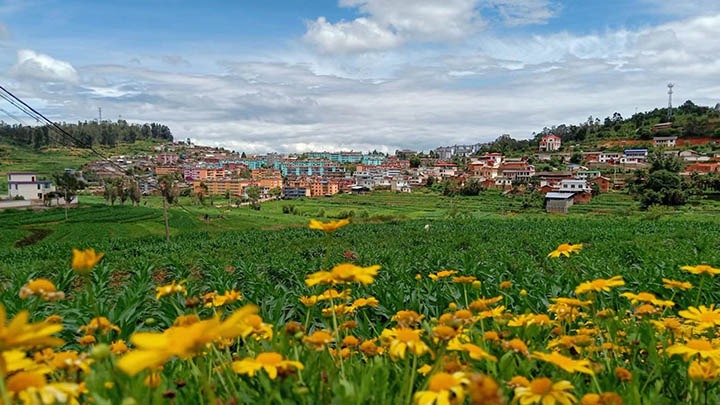 ����ú���¡����в��ı���������·ܽ�����ƪ����ƽú���£�һ��