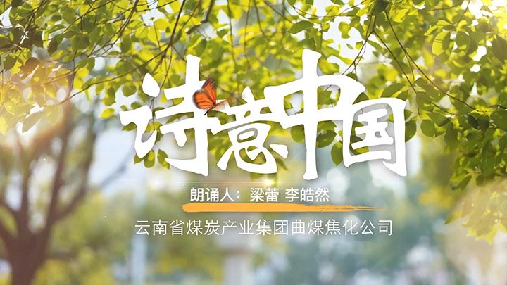 ���۽���ú���̵�����ӽ���䡤 ������������ú����ְ����ͥ�����ж���Ʒչ��