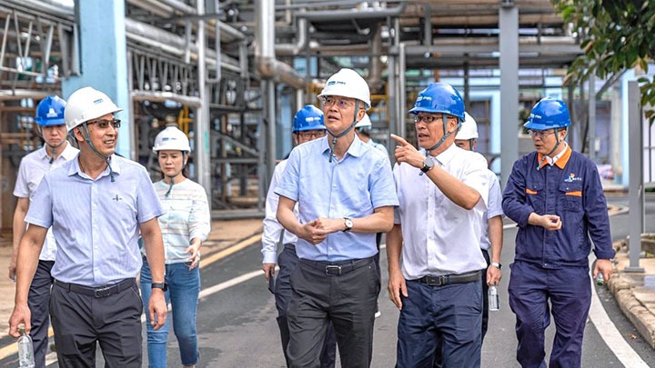 ����ѧϰ����ʶ ������������� ����������ֵ��������������Ч�������������¶���