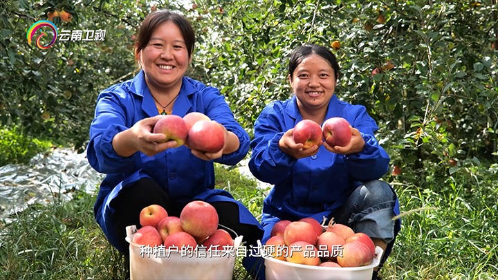 ���������ӡ���������ú���Ž⻯�÷���������ũ������������������ˡ��Ҹ�������