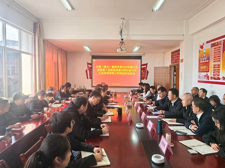 ��ú���ŵ�ί2024�������Ѳ���һѲ���������ʯ�ͻ�ѧ��ҵ������˾��ί��չѲ������