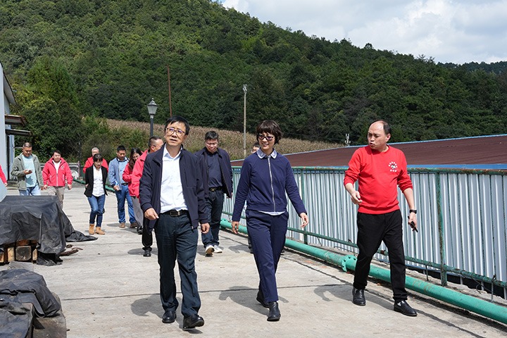 ����ʡ����ί��ίίԱ��������������һ�е���ú������������úҵ��˾��չ�ֳ���������