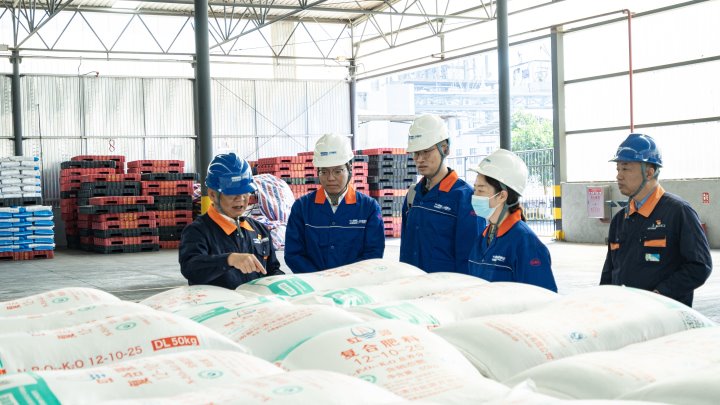 �������������������Эͬ����ƪ�������Ͻ⻯�������ʱ���չ���������˶�