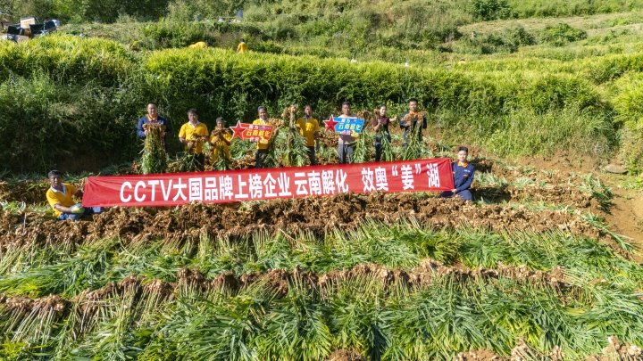 ī����Ǵ���������գ�����ֲ��ʩ�ʵ���ժ�����Ͻ⻯ȫ�̡��ǻ���